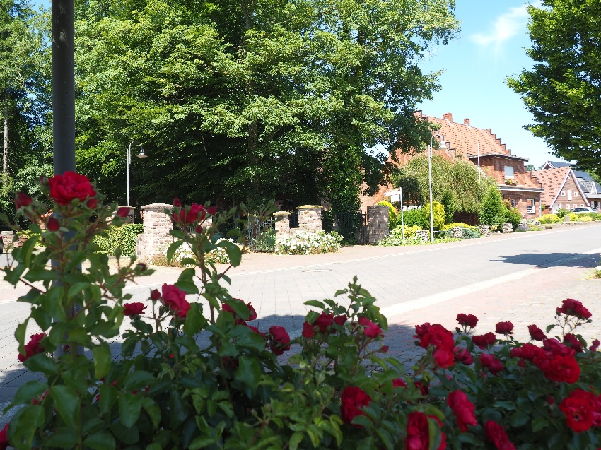 Linden Parkplatz Blick 850 Juni