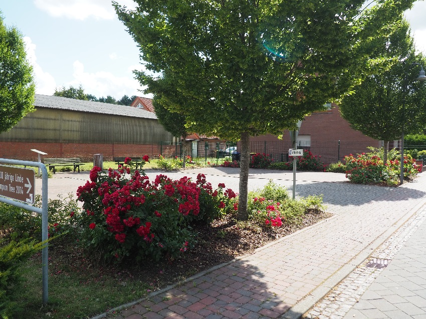 Linden Parkplatz leer 850