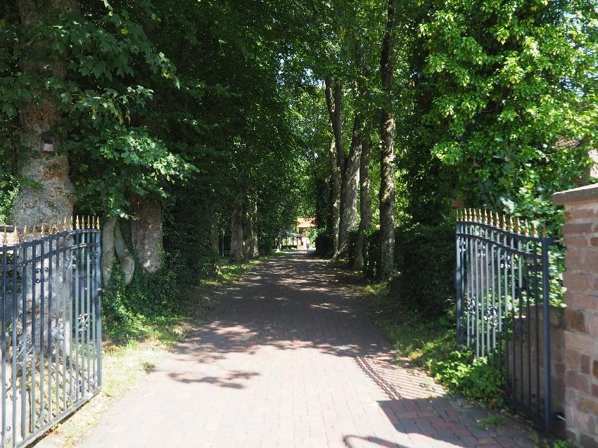 Pinnnincksallee Blick 850